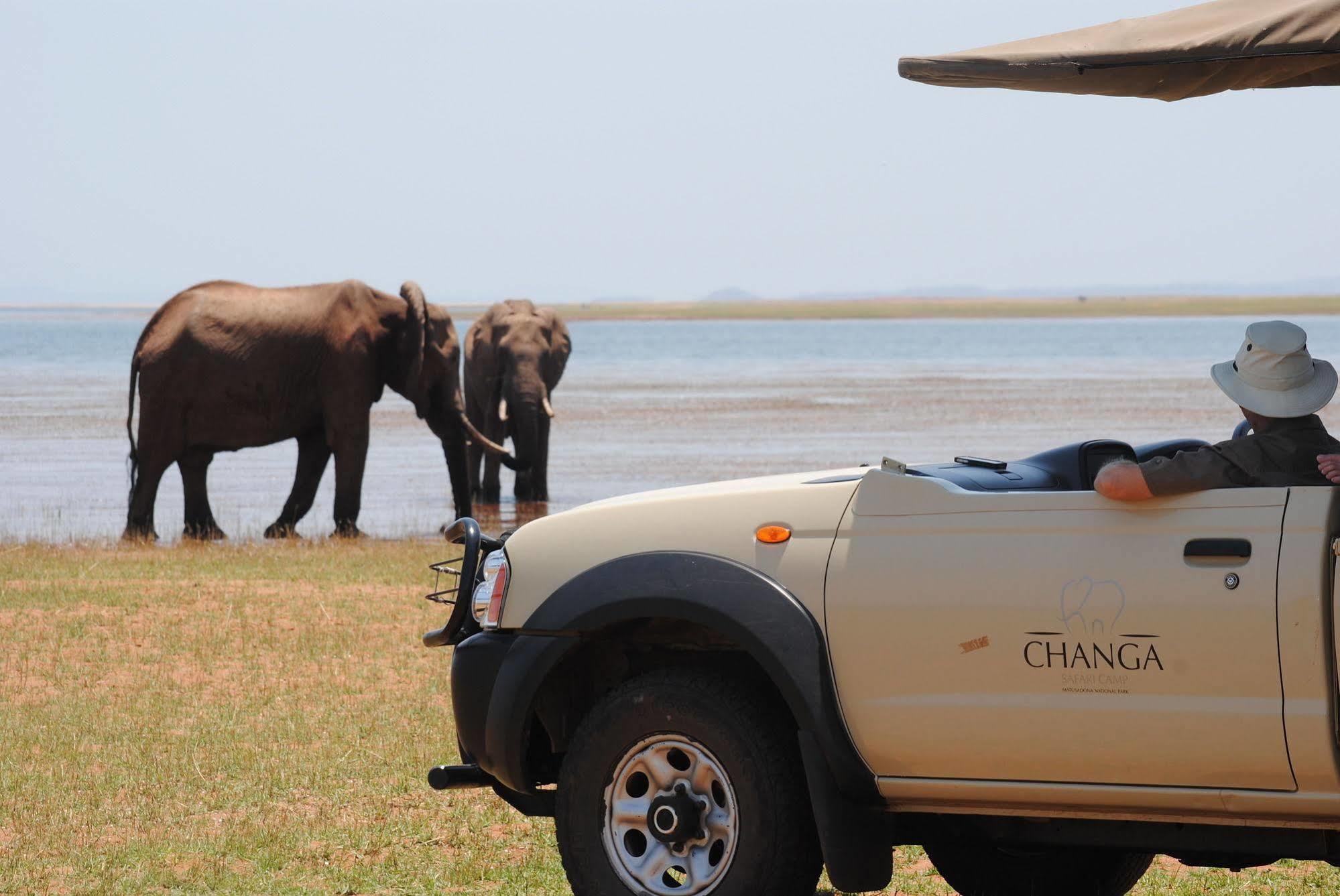 Changa Safari Camp Matusadona National Park Buitenkant foto